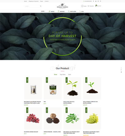 Arangi - Organic & Healthy Products Magento 2 Theme  - Style 3