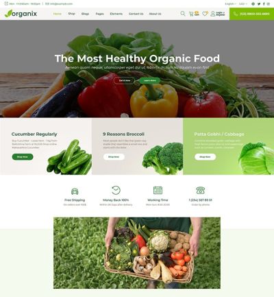 Organix - Minimalist eCommerce Magento 2 Theme