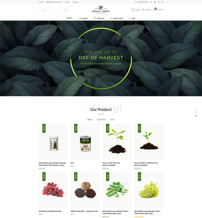 Arangi - Organic & Healthy Products Magento 2 Theme  - Style 3