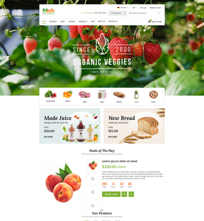 Fresh - Multipurpose Responsive Magento 2 Theme - Style 2