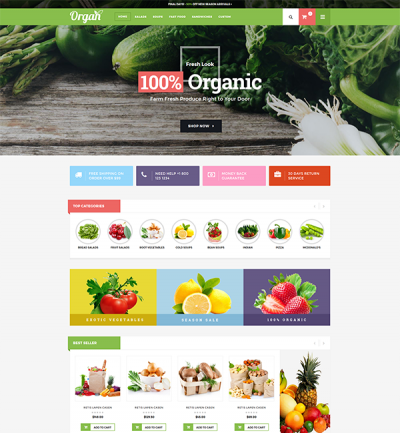  Organ - Organic Store Responsive Magento Theme 